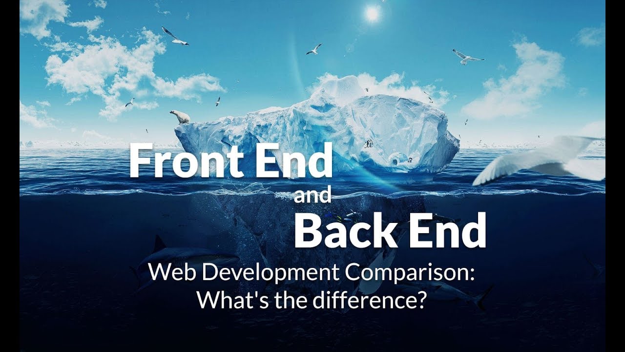 الفرق بين الفرونت اند ديفلوبر backend developer و الباك اند ديفلوبر frontend developer