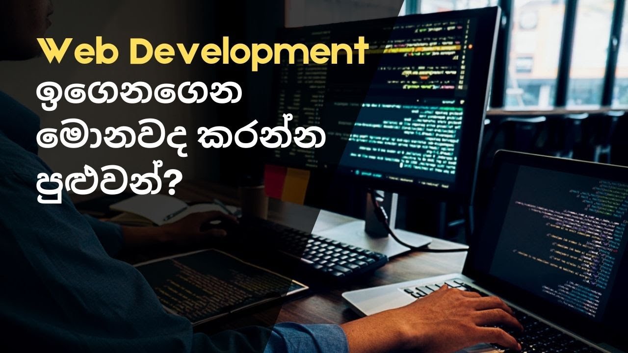 Careers in Web Development Sinhala Explanation